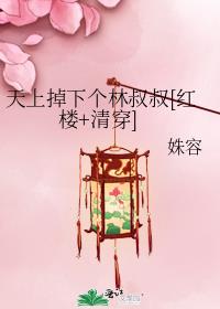 天上掉下个林叔叔[红楼+清穿]